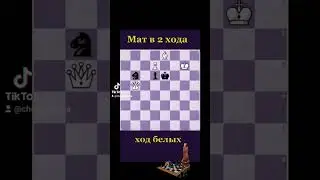 Шахматная задачка 