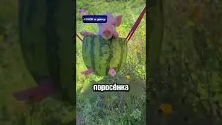 Страшная ШТУКА растущая из пальца 🖐😱