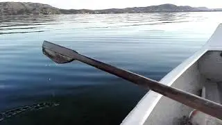 TRISTE REALIDAD DEL LAGO SAN ROQUE, LLENO DE ALGAS