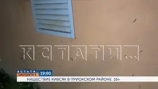 Смотрите сегодня в 19.00 в программе "Кстати": Нашествие кивсяк в Приокском районе