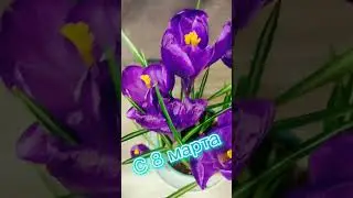 С 8 марта! 