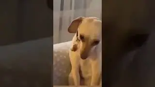 Кто на пол написал