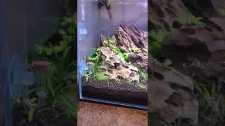 Nano Tanks