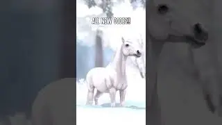 All Star Rider codes in Star Stable pt. 2 #shorts #starstable #gaming #horse