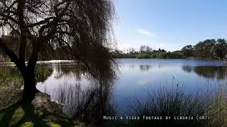 Tranquil Reflections: Serene Piano Ambient Music for Relaxation | No Copyright | No Attribution