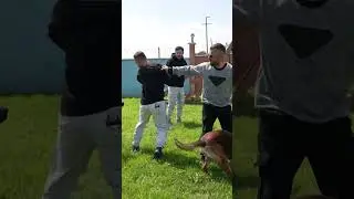 ORTALIK KARIŞTI 😁 