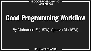 Fall Workshops 2020 - Good Programming Workflow