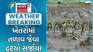 Sanand News | ખેતરોમાં તળાવ જેવા દ્રશ્યો સર્જાયા | Heavy Rain | Monsoon | Rain Update | News18