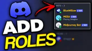 How to Add Roles on Discord (Make Discord Roles) - 2024