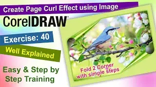 Create Page Curl Effect using an Image in Corel Draw Exercise No. 40 | YN Tutor