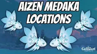 All Aizen Medaka Locations Genshin Impact