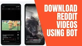 How To Download Reddit Videos Using Bot