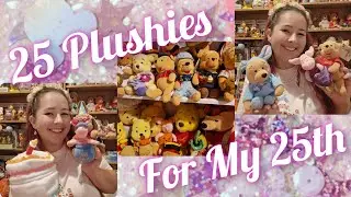 25 Winnie The Pooh Plush For My 25th Birthday | Disney Plush Collection