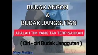 BUDAK ANGON DAN BUDAK JANGGUTAN ADALAH TIM YANG TAK TERPISAHKAN  || CIRI - CIRI BUDAK JANGGUTAN