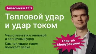 6.112. Тепловой удар и удар током | Анатомия к ЕГЭ | Георгий Мишуровский