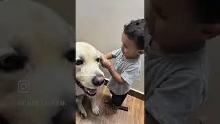 #doglover #kidswithdogs #babyboy #babywithdog #dogshorts
