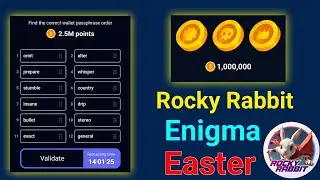 8 September Rocky Rabbit daily combo || Enigma Code Rocky Rabbit || Easter card unlock Rocky Rabbit