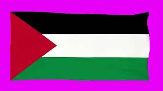 Footage of the Palestine flag. New conflict. Animation for video editing.