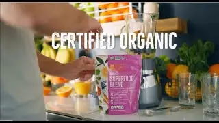 Organic Superfood Blend | BetterBody Foods