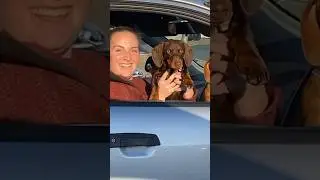 The greatest surprise at a red light ❤️