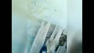 Руфиры в Саратове