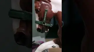 Кожаный недоуздок для лошади Breyer 