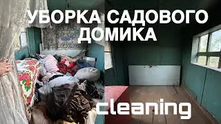 3 ВЫКИНУЛА ВЕСЬ ХЛАМ С САДОВОГО ДОМИКА. УБОРКА