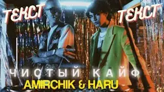 AMIRCHIK & HARU ЧИСТЫЙ КАЙФ ( ТЕКСТ - LYRICS )