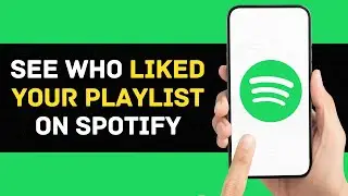 How To See Who Liked Your Playlist on Spotify (2024 GUIDE)