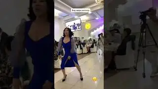 #msstudiokz