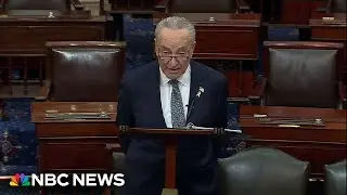 Full speech: Sen. Schumer calls for new elections in Israel