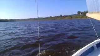 Швертбот Трепанг 1