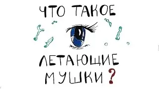 Что такое Летающие Мушки?