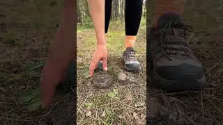 Shock!😱! GIRL uses cow POOP!🐄💩