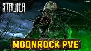 DAYZ STALKER PVE | СЕРВЕР С БОТАМИ MOONROCK | ВЫПОЛНЯЮ КВЕСТЫ, КАЧАЮ РЕПУТАЦИЮ #3