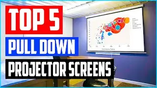 Top 5 Best Pull Down Projector Screens in 2021 Reviews