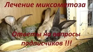 Лечение миксоматоза !!! Ответы на вопросы подписчиков !!!