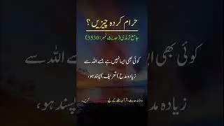 Hadees Sharif Haram Karda Chezay #shorts #youtubeshorts #hadees #viral #dua #islam #usama #prayer