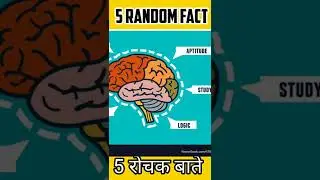 fact about humen brain . 5 रोचक बाते ।brain fact #shorts