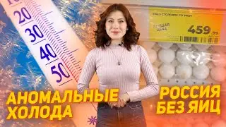 Дефицит яиц. Аномальные холода