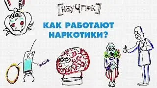 Как работают наркотики? — Научпок