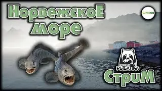 🔴РУССКАЯ РЫБАЛКА 4 (RUSSIAN FISHING 4)🔴 - НОРВЕЖСКОЕ МОРЕ. СТРИМ.