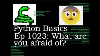 Python Basics Tutorial What Are You Afraid Of?