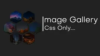 Hexagon Image Gallery Using Css | Css Image Gallery | Css Hexagon Image Gallery Hover Effect