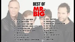 Best Of Mr. Big