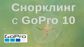 GoPro Hero 10 | Черное море - снорклинг 03/07/2022, смотреть в 4K - 04