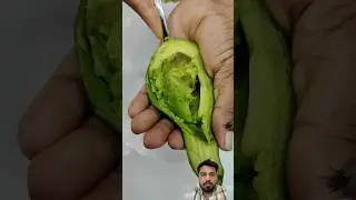 Tom &Jerry Real and Twist 😋🥑🥑🥭 #shorts #avocado #recipe #cooking #juice #shortvideo #trending