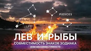 ЛЕВ И РЫБЫ СОВМЕСТИМОСТЬ ЗНАКОВ ЗОДИАКА