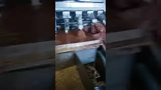 Как делают мороженое 
