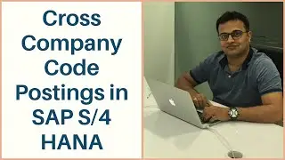 Cross Company Code Postings in SAP S/4 HANA